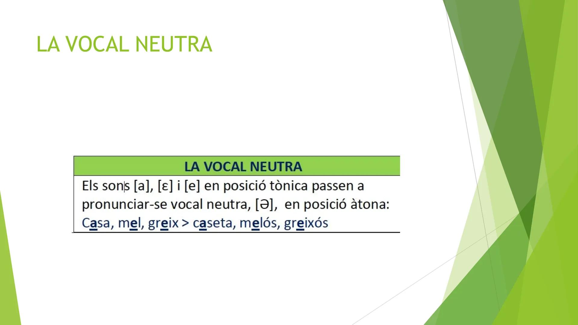 # Tema 1.

ELS SONS DE LA LLENGUA

CURS 2025-2026 INDEX

- La producció del sons
- Els sons vocàlics
- Les semivocals
- Fenòmens de contacte