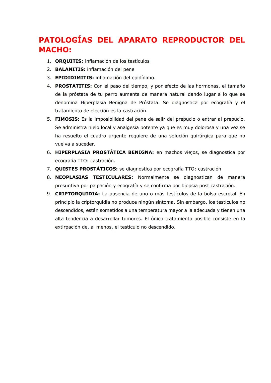SISTEMA REPRODUCTOR
PARTES DEL APARATO REPRODUCTOR DEL MACHO:
TESTÍCULOS: encargados de la producción de hormonas y espermatozoides
Tienen f