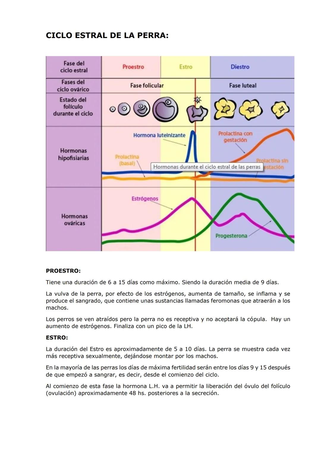 SISTEMA REPRODUCTOR
PARTES DEL APARATO REPRODUCTOR DEL MACHO:
TESTÍCULOS: encargados de la producción de hormonas y espermatozoides
Tienen f