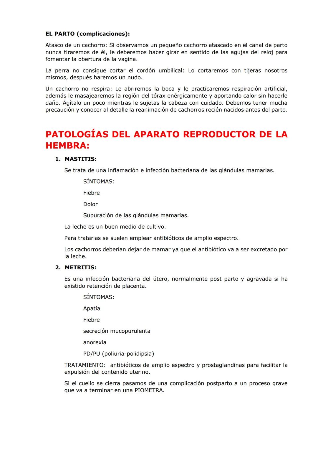 SISTEMA REPRODUCTOR
PARTES DEL APARATO REPRODUCTOR DEL MACHO:
TESTÍCULOS: encargados de la producción de hormonas y espermatozoides
Tienen f