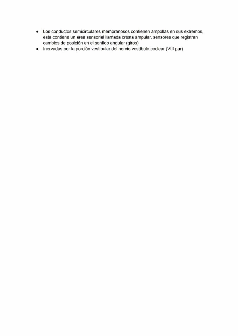 EL OJO:
TEMA 12: ÓRGANO DE LOS SENTIDOS
→ Huesos de la órbita
●
Canal optico
Etmoides
Esfenoides
Cigomático
Palatino-
→ Estructuras accesori