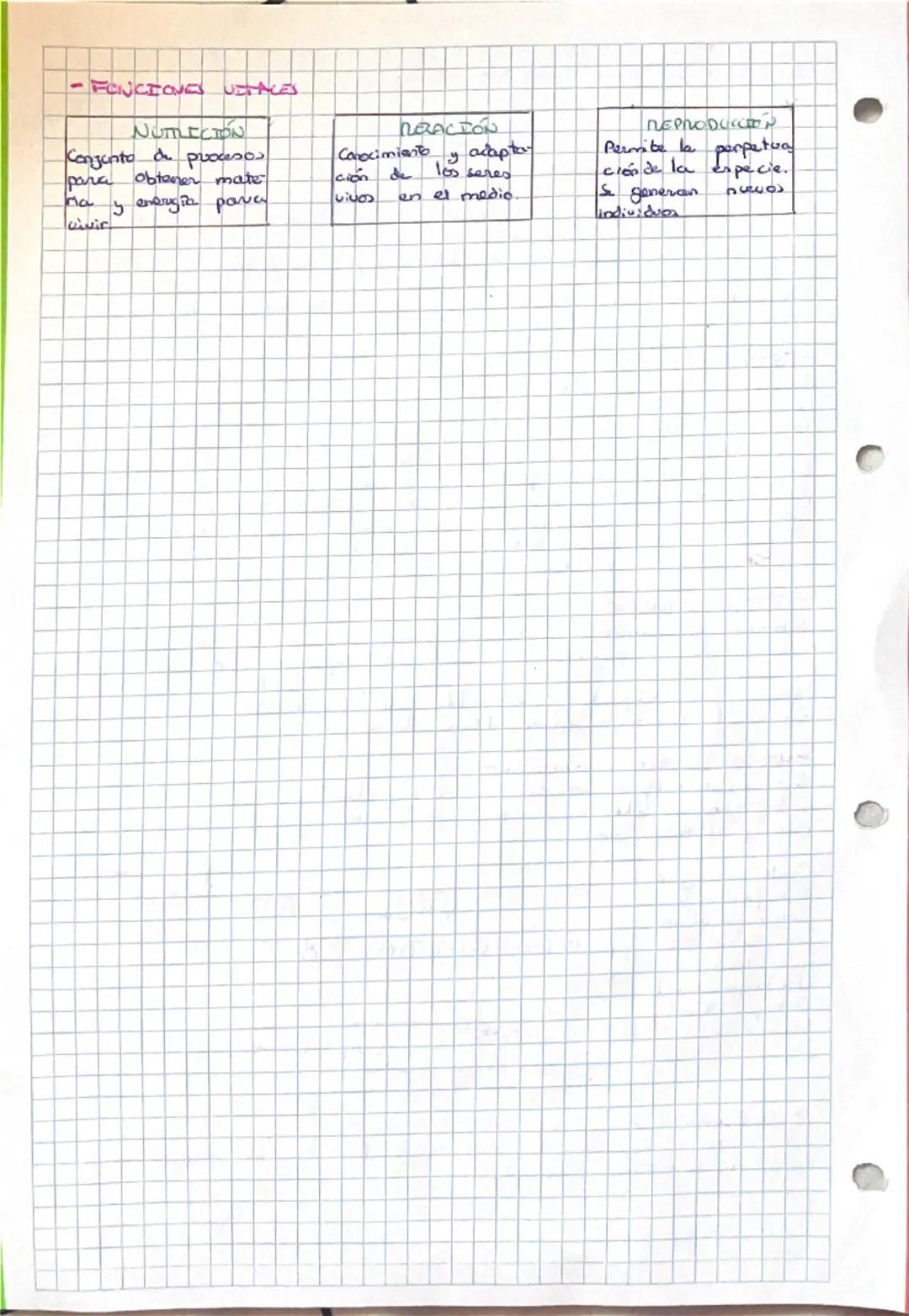 # 1.1 LA ORGANIZACION DEL CUERPO HUMANO

-NIVELES DE ORGANIZACION DE LOS SERES VIVOS

CELULA

unidad basica
de vida

TEJIDOS

conjunto de ce