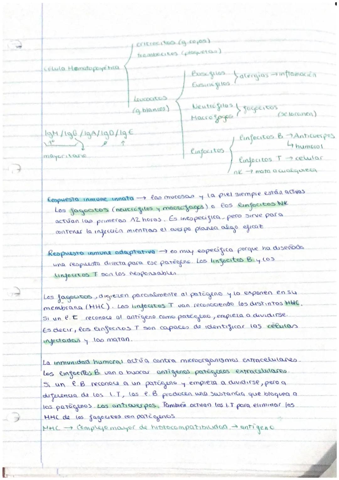# la salud y TLMA 2 la enfermedad

1.  La salud

La salud es un estado de completo bienestar fisico, mental y social.

Jactores do sieage de