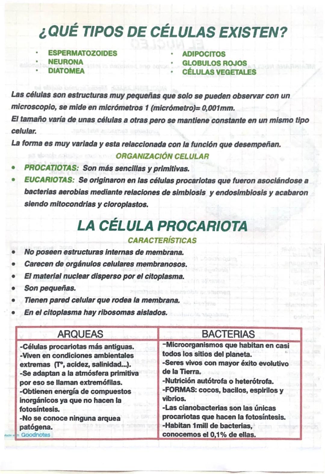 # LA CÉLULA: ESTRUCTURA Y FUNCIONES
En 1838 el botánico Mathias y el zoólogo Theodor enunciaron la teoría celular.
## LA TEORÍA CELULAR
- To