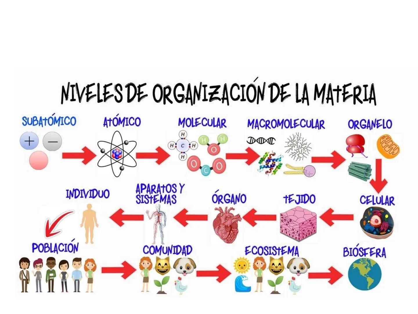 TEMA 1. LOS SERES VIVOS:
COMPOSICIÓN Y FUNCIÓN.
1. Características diferenciales de los seres
vivos
2. Unidad química
3. Agua y sales minera