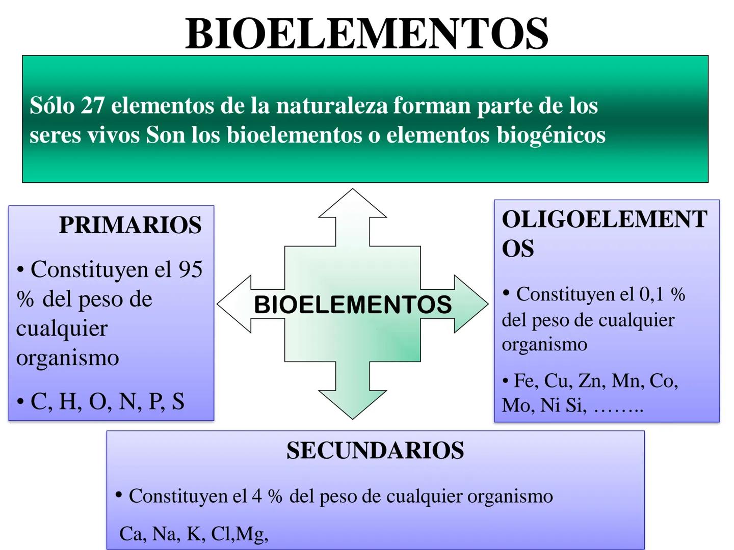 TEMA 1. LOS SERES VIVOS:
COMPOSICIÓN Y FUNCIÓN.
1. Características diferenciales de los seres
vivos
2. Unidad química
3. Agua y sales minera