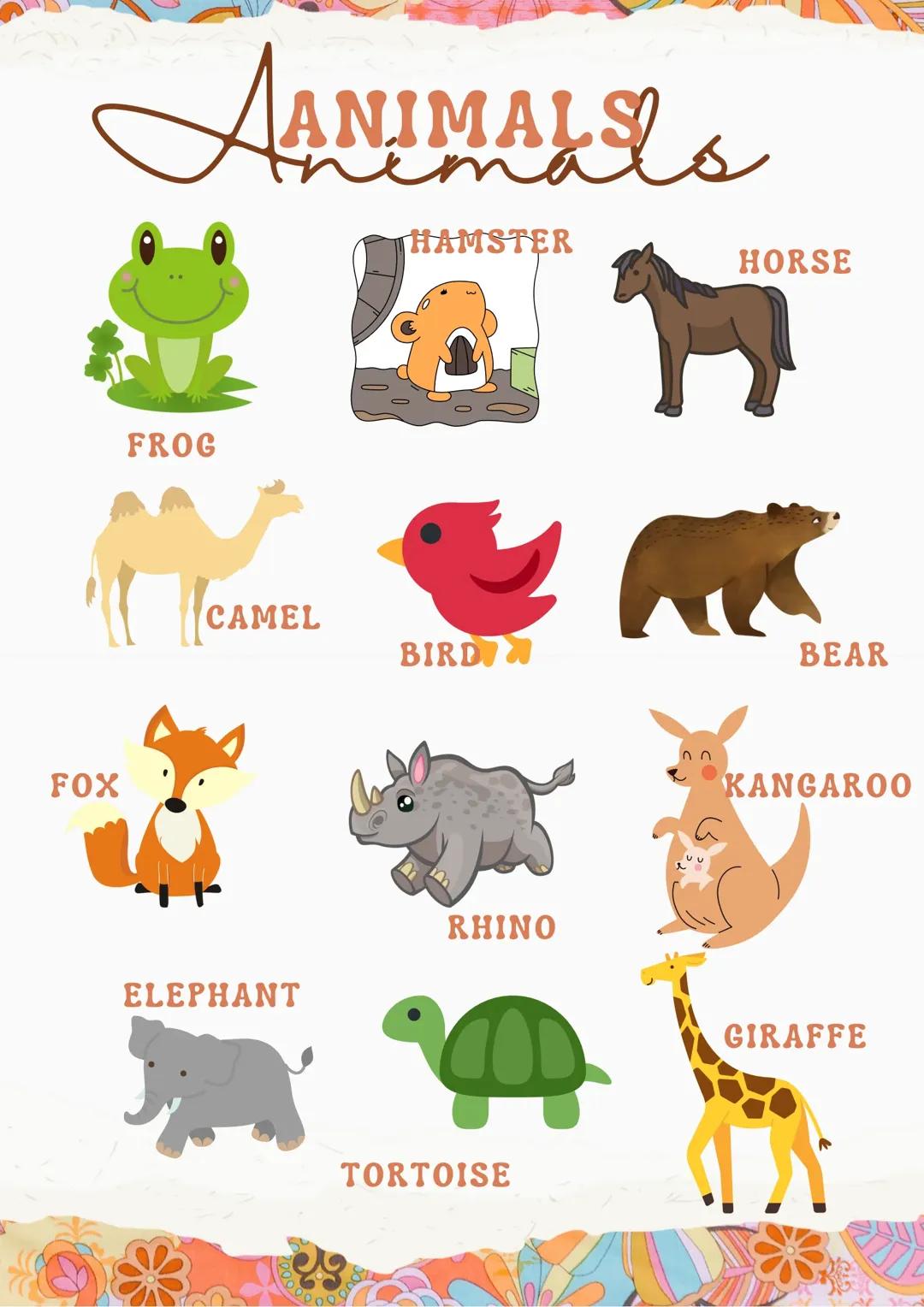 The animals vocabulary 