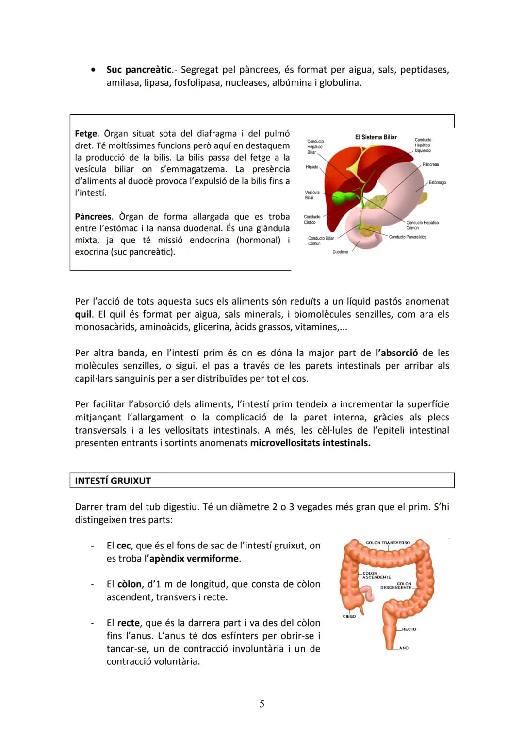 APARELL DIGESTIU
UNITAT 2. APARELL DIGESTIU I APARELL RESPIRATORI
La funció de l'aparell digestiu és incorporar al cos els aliments proceden
