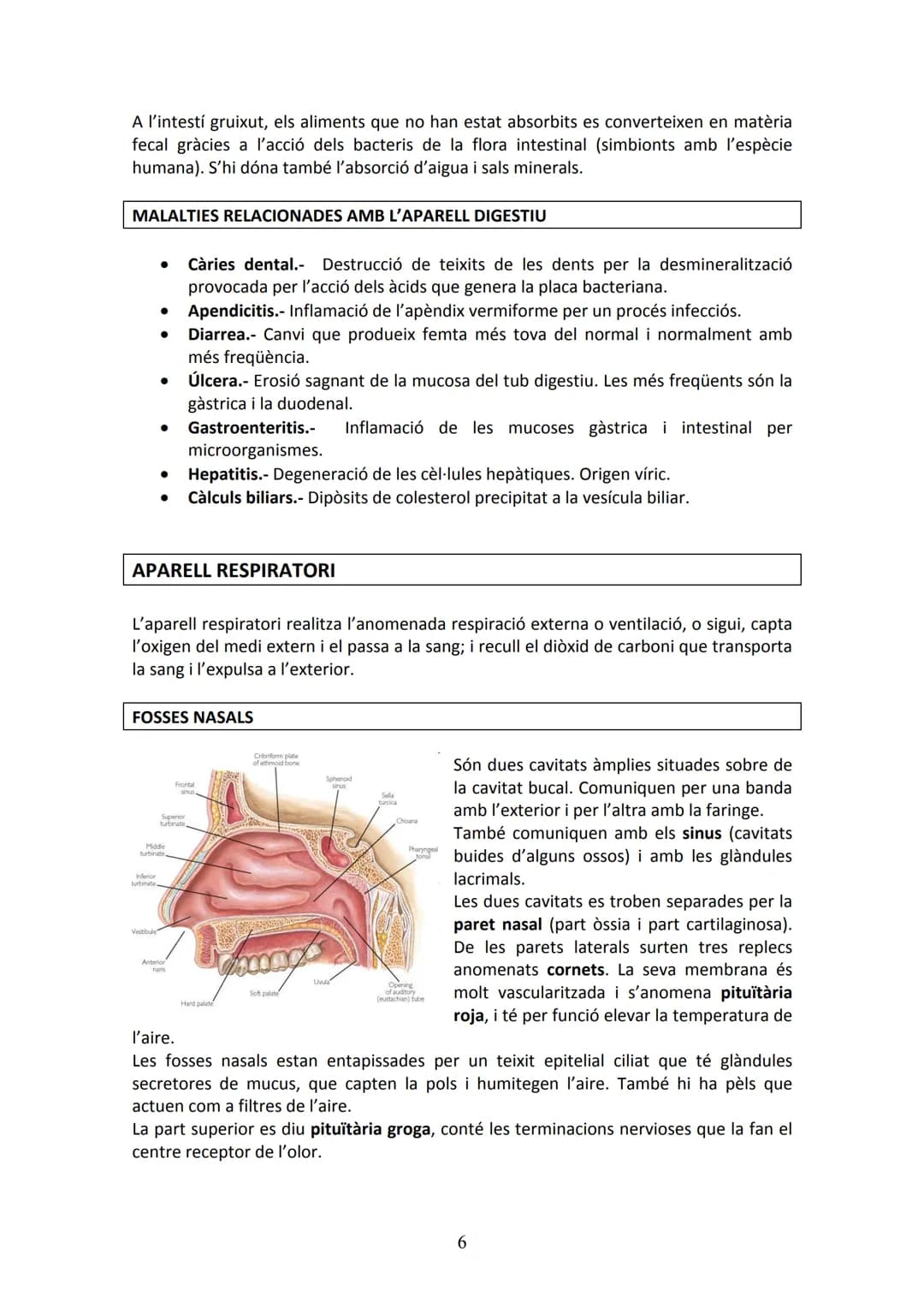 APARELL DIGESTIU
UNITAT 2. APARELL DIGESTIU I APARELL RESPIRATORI
La funció de l'aparell digestiu és incorporar al cos els aliments proceden