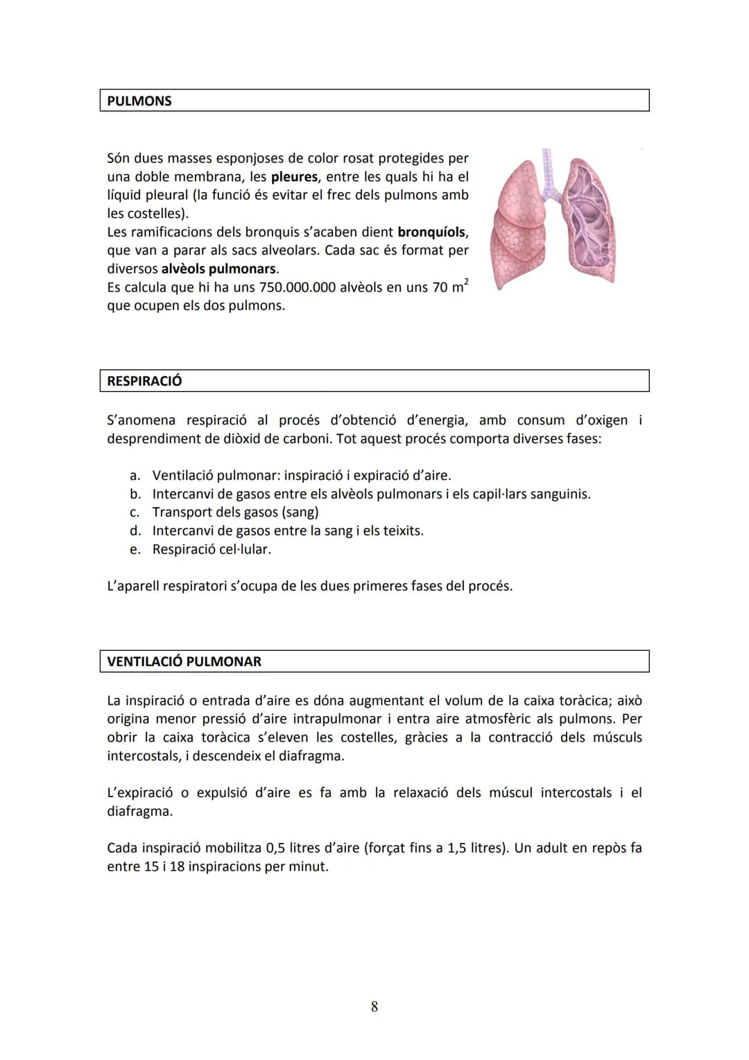 APARELL DIGESTIU
UNITAT 2. APARELL DIGESTIU I APARELL RESPIRATORI
La funció de l'aparell digestiu és incorporar al cos els aliments proceden
