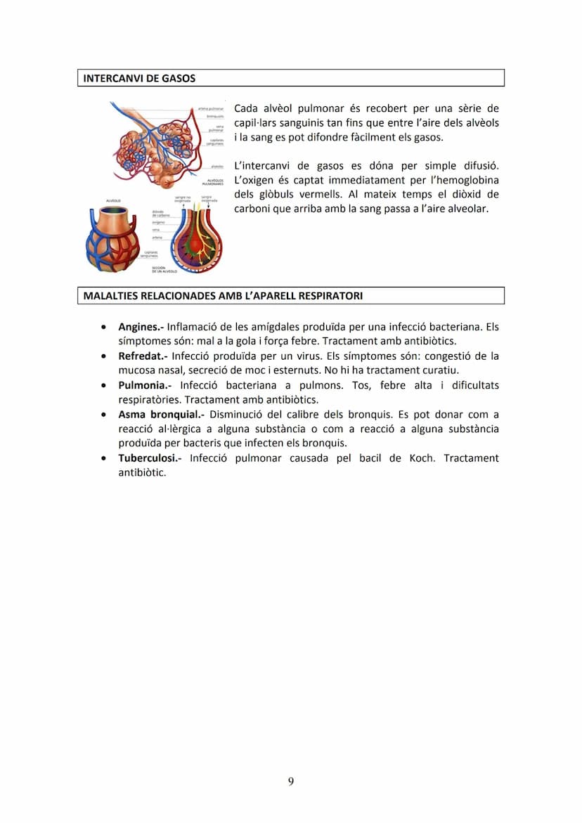 APARELL DIGESTIU
UNITAT 2. APARELL DIGESTIU I APARELL RESPIRATORI
La funció de l'aparell digestiu és incorporar al cos els aliments proceden