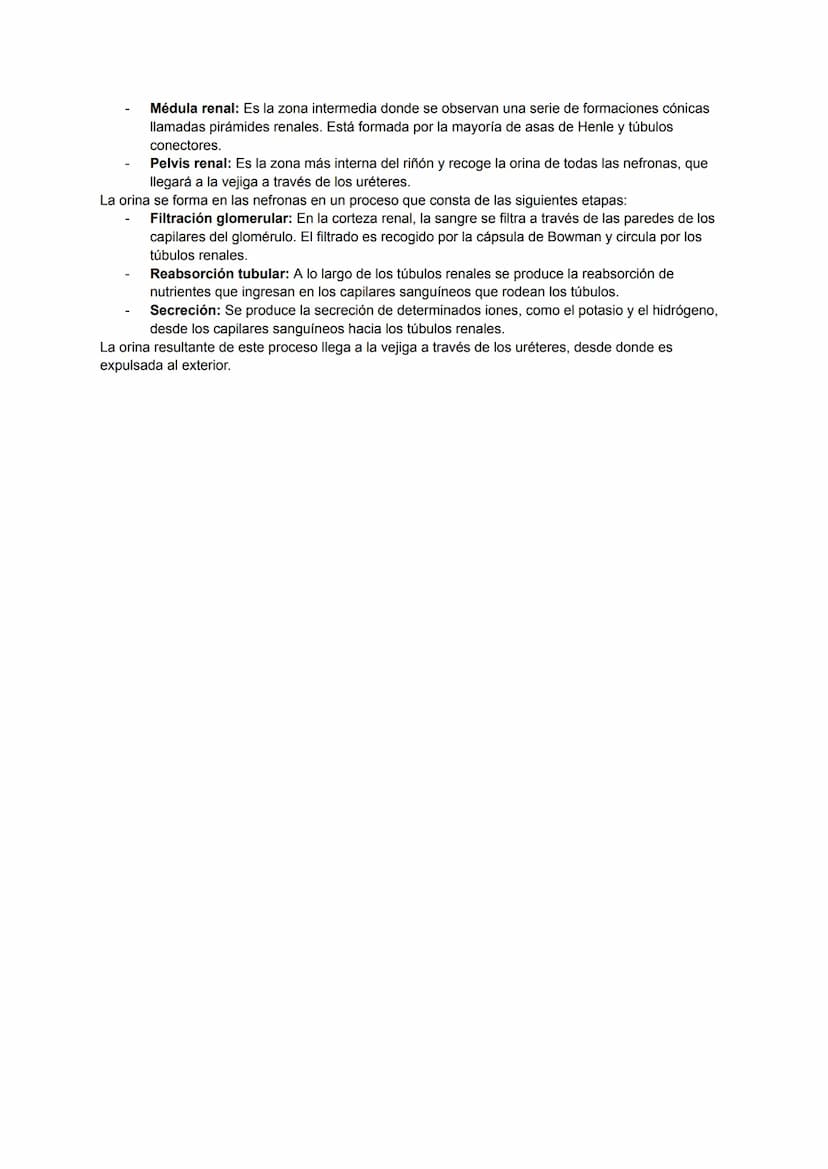 ÍNDICE
NUTRICIÓN:
• Intercambio de materia con el medio.
• Digestión.
• Intercambio de gases.
• Circulación.
• Excreción.
INGESTIÓN:
• Activ