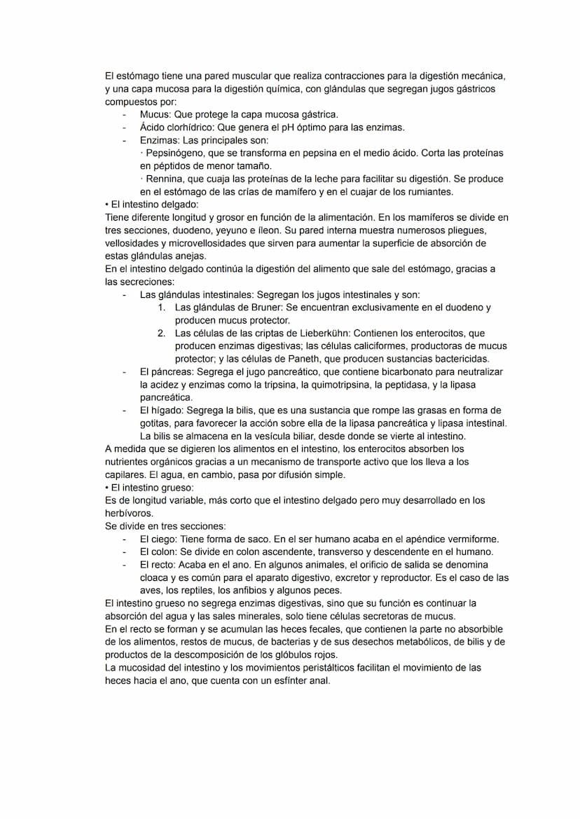 ÍNDICE
NUTRICIÓN:
• Intercambio de materia con el medio.
• Digestión.
• Intercambio de gases.
• Circulación.
• Excreción.
INGESTIÓN:
• Activ