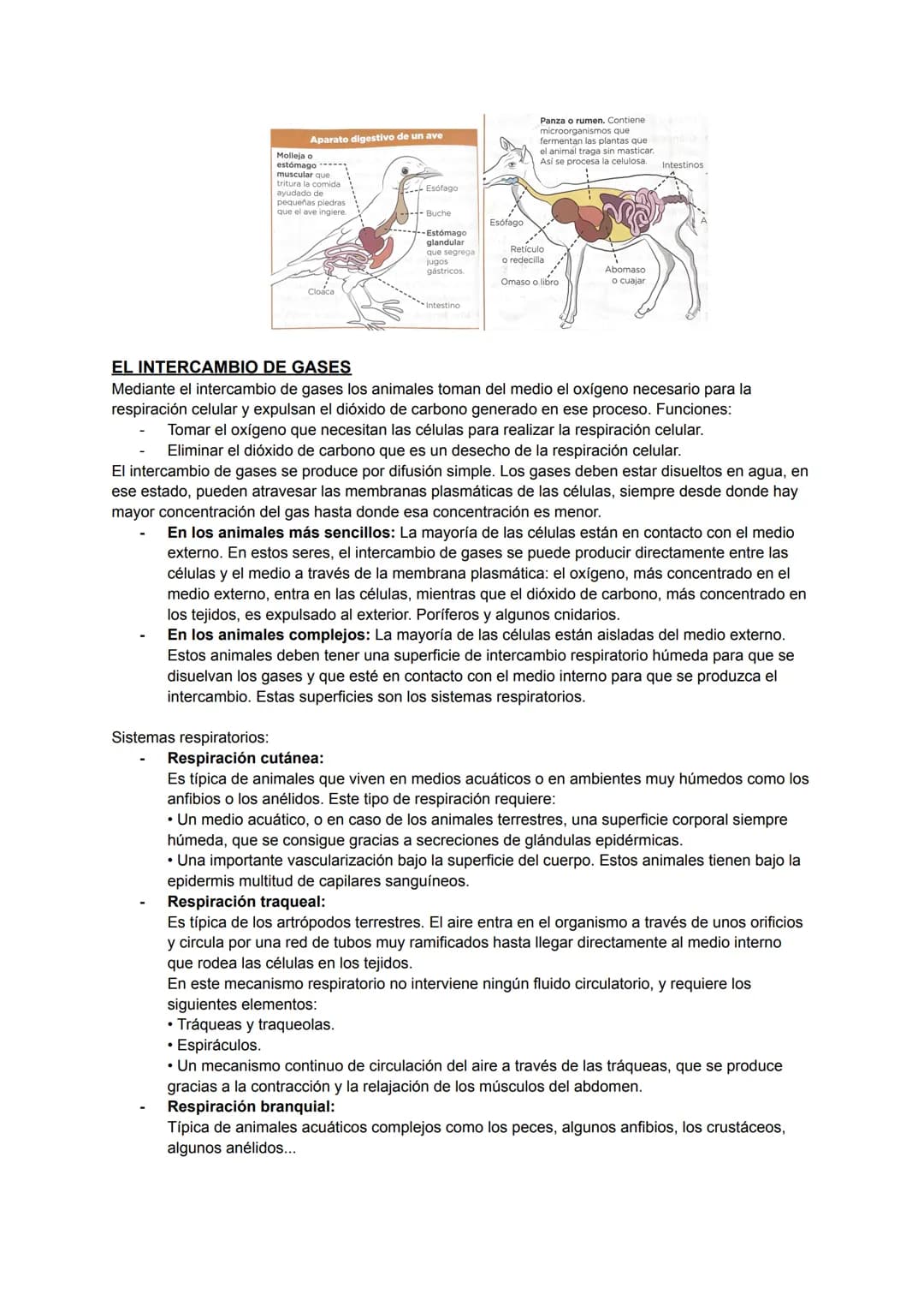 ÍNDICE
NUTRICIÓN:
• Intercambio de materia con el medio.
• Digestión.
• Intercambio de gases.
• Circulación.
• Excreción.
INGESTIÓN:
• Activ