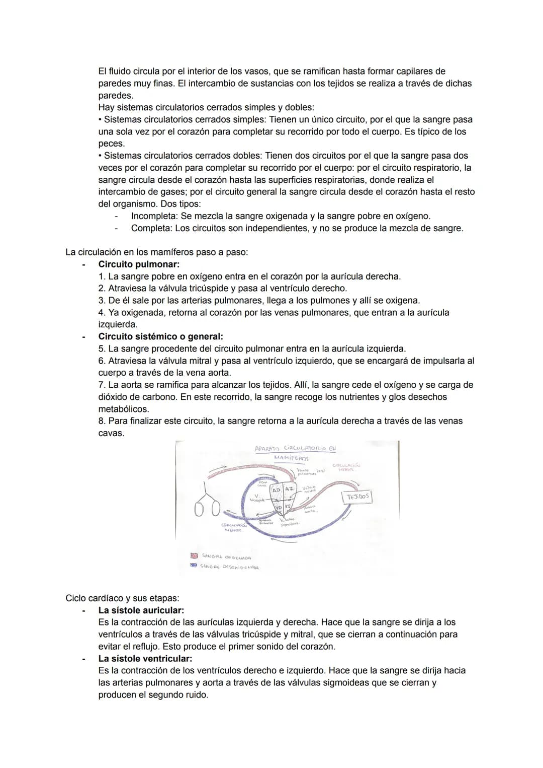 ÍNDICE
NUTRICIÓN:
• Intercambio de materia con el medio.
• Digestión.
• Intercambio de gases.
• Circulación.
• Excreción.
INGESTIÓN:
• Activ