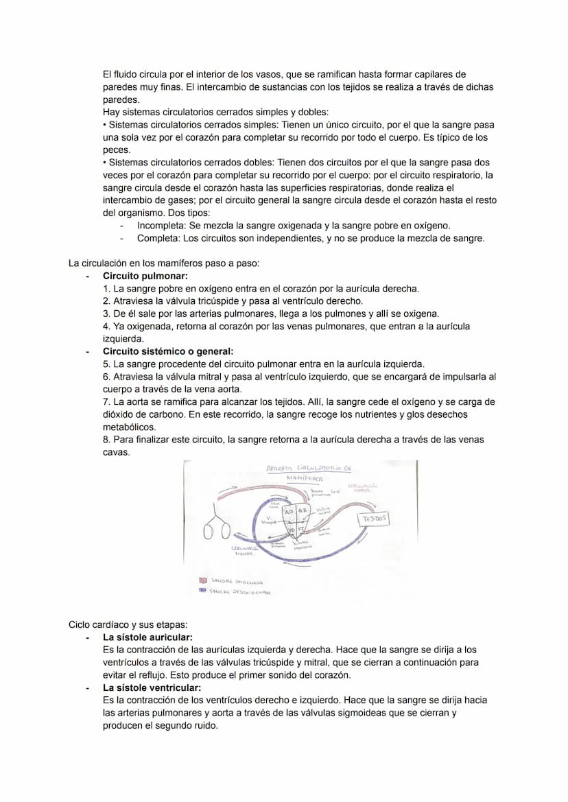ÍNDICE
NUTRICIÓN:
• Intercambio de materia con el medio.
• Digestión.
• Intercambio de gases.
• Circulación.
• Excreción.
INGESTIÓN:
• Activ