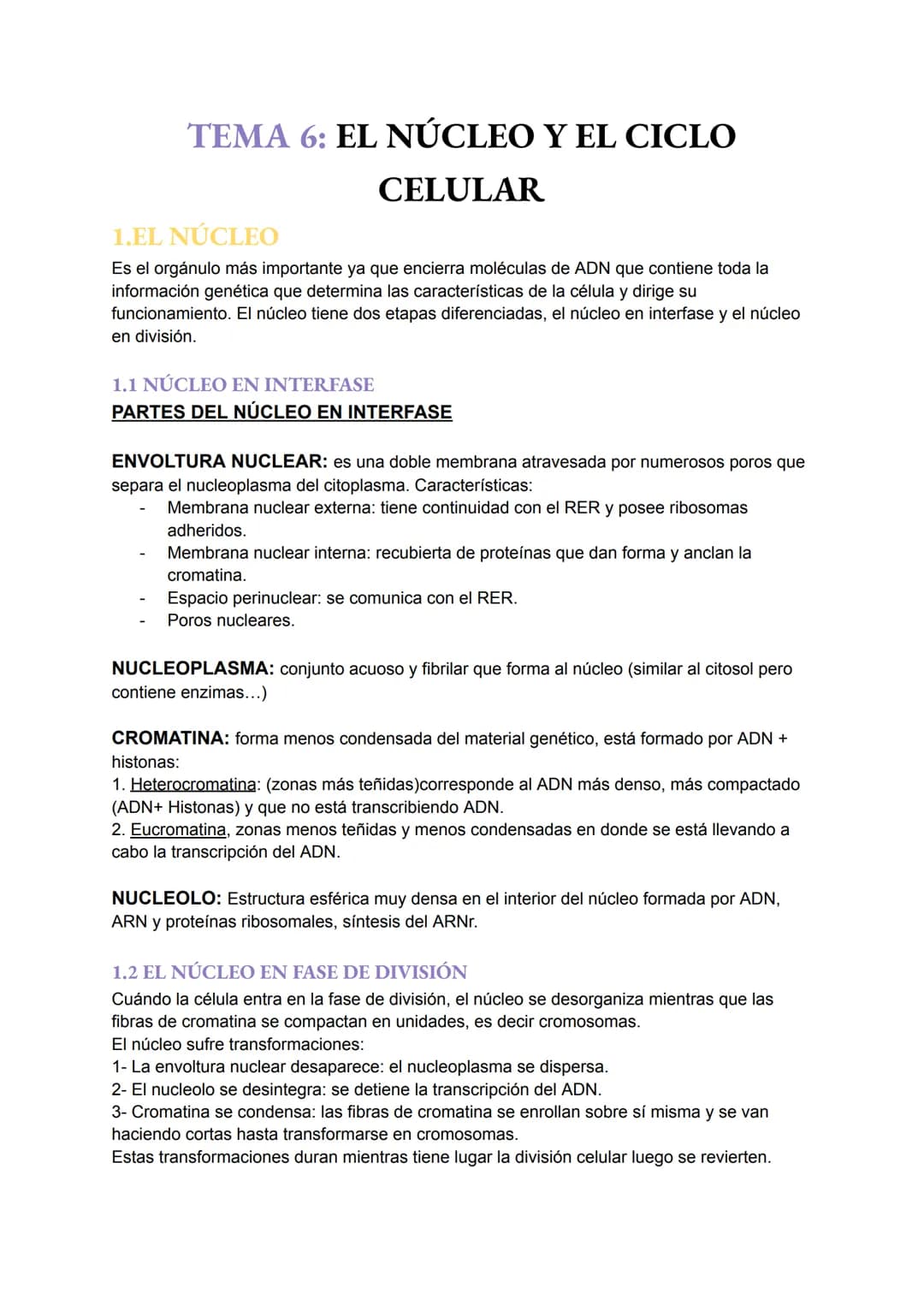 TEMA 6: EL NÚCLEO Y EL CICLO
CELULAR
1.EL NÚCLEO
Es el orgánulo más importante ya que encierra moléculas de ADN que contiene toda la
informa