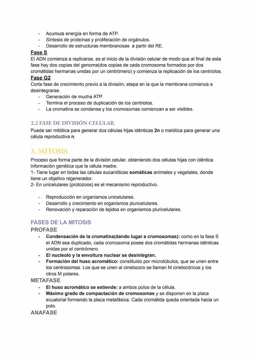 TEMA 6: EL NÚCLEO Y EL CICLO
CELULAR
1.EL NÚCLEO
Es el orgánulo más importante ya que encierra moléculas de ADN que contiene toda la
informa