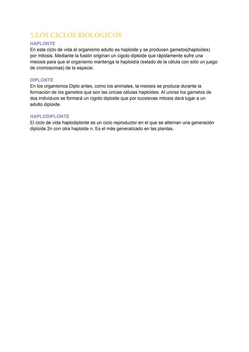TEMA 6: EL NÚCLEO Y EL CICLO
CELULAR
1.EL NÚCLEO
Es el orgánulo más importante ya que encierra moléculas de ADN que contiene toda la
informa