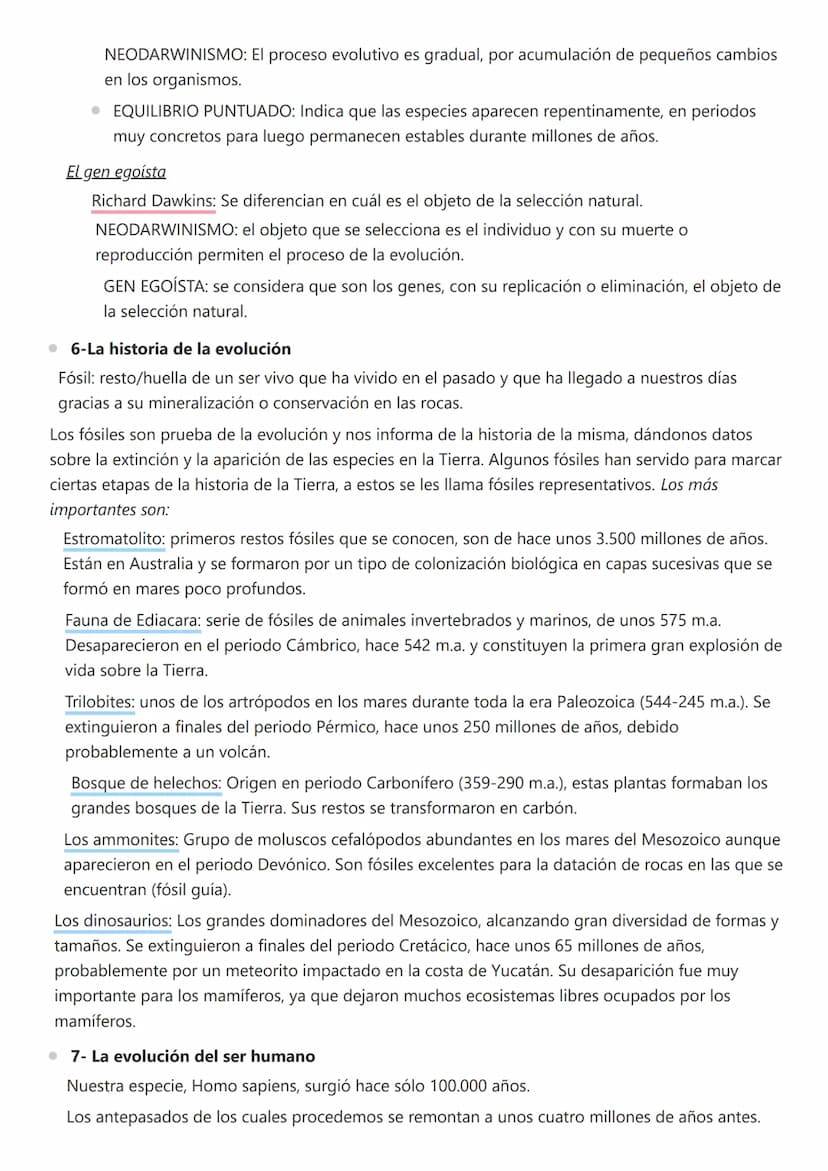 Biología - T5 - Origen y evolución de los seres vivos
• 1-Primeras teorías
● Explicaciones al origen de la vida
• Creacionismo
• Explicacion