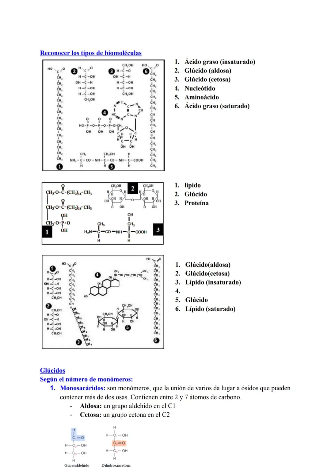 BLOQUE I: LA BASE MOLECULAR Y FISICOQUÍMICA DE LA VIDA
Agua y sales minerales. Tampones y regulación del pH. Ósmosis
1. Funciones del agua q