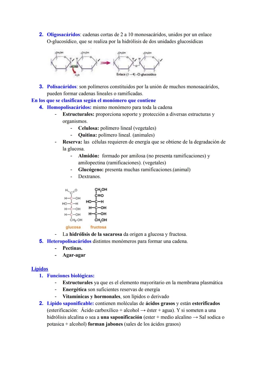 BLOQUE I: LA BASE MOLECULAR Y FISICOQUÍMICA DE LA VIDA
Agua y sales minerales. Tampones y regulación del pH. Ósmosis
1. Funciones del agua q