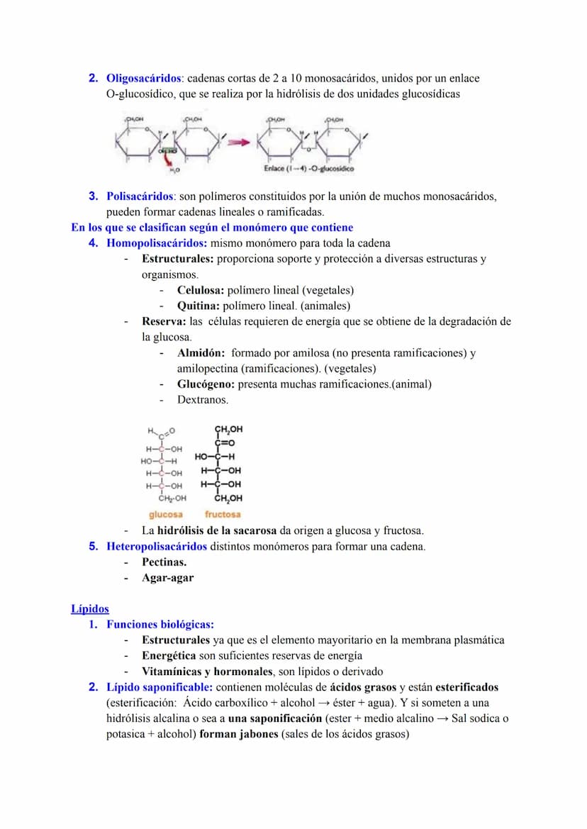 BLOQUE I: LA BASE MOLECULAR Y FISICOQUÍMICA DE LA VIDA
Agua y sales minerales. Tampones y regulación del pH. Ósmosis
1. Funciones del agua q