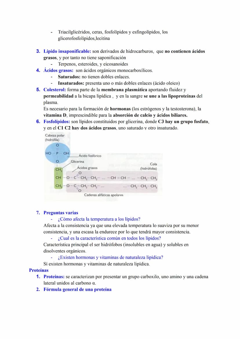 BLOQUE I: LA BASE MOLECULAR Y FISICOQUÍMICA DE LA VIDA
Agua y sales minerales. Tampones y regulación del pH. Ósmosis
1. Funciones del agua q