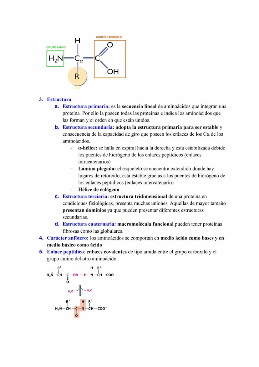 BLOQUE I: LA BASE MOLECULAR Y FISICOQUÍMICA DE LA VIDA
Agua y sales minerales. Tampones y regulación del pH. Ósmosis
1. Funciones del agua q