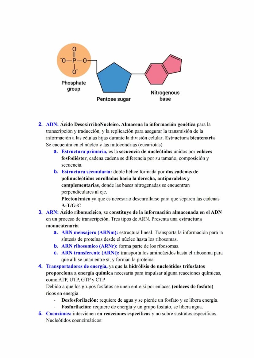 BLOQUE I: LA BASE MOLECULAR Y FISICOQUÍMICA DE LA VIDA
Agua y sales minerales. Tampones y regulación del pH. Ósmosis
1. Funciones del agua q