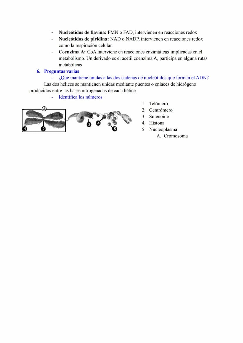 BLOQUE I: LA BASE MOLECULAR Y FISICOQUÍMICA DE LA VIDA
Agua y sales minerales. Tampones y regulación del pH. Ósmosis
1. Funciones del agua q