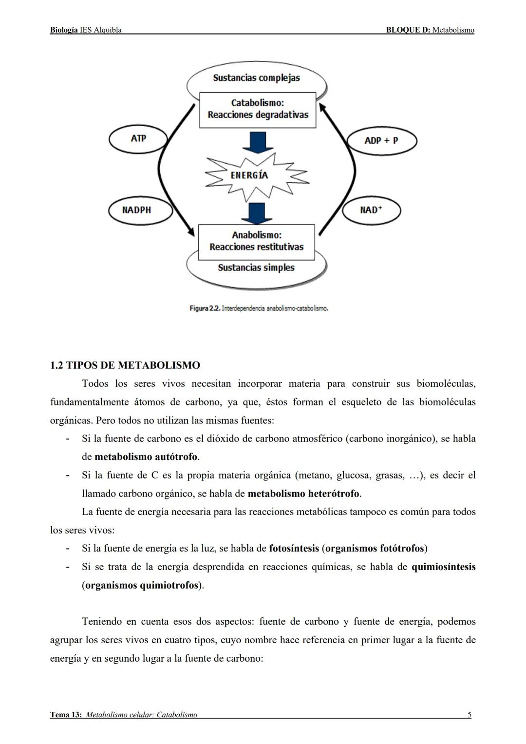 --- OCR Start ---
Biología IES Alquibla
TEMA 13:
METABOLISMO CELULAR:
CATABOLISMO
Tema 13: Metabolismo celular: Catabolismo
BLOQUE D: Metabo
