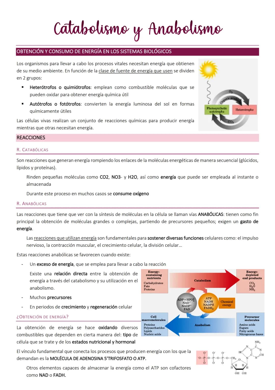OBTENCIÓN Y CONSUMO DE ENERGÍA EN LOS SISTEMAS BIOLÓGICOS
Los organismos para llevar a cabo los procesos vitales necesitan energía que obtie