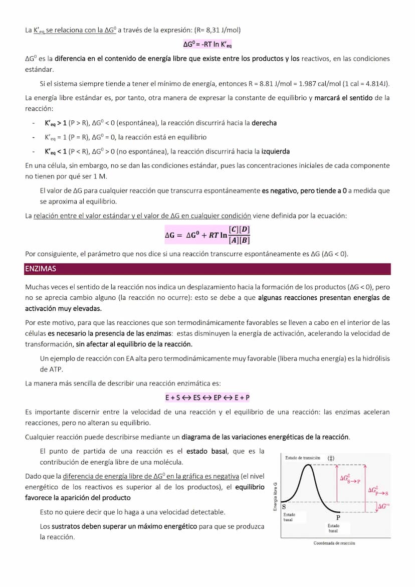 OBTENCIÓN Y CONSUMO DE ENERGÍA EN LOS SISTEMAS BIOLÓGICOS
Los organismos para llevar a cabo los procesos vitales necesitan energía que obtie