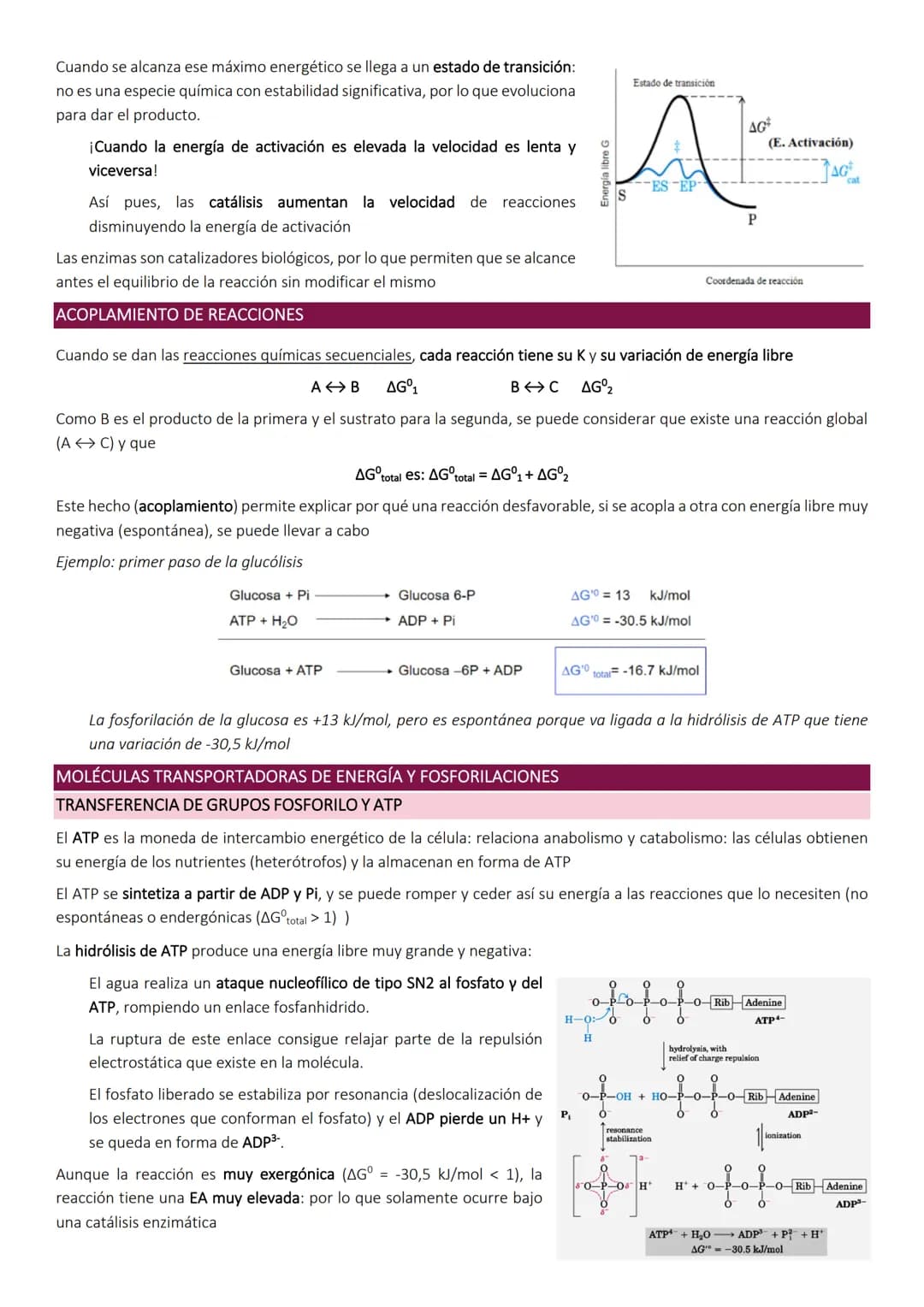 OBTENCIÓN Y CONSUMO DE ENERGÍA EN LOS SISTEMAS BIOLÓGICOS
Los organismos para llevar a cabo los procesos vitales necesitan energía que obtie