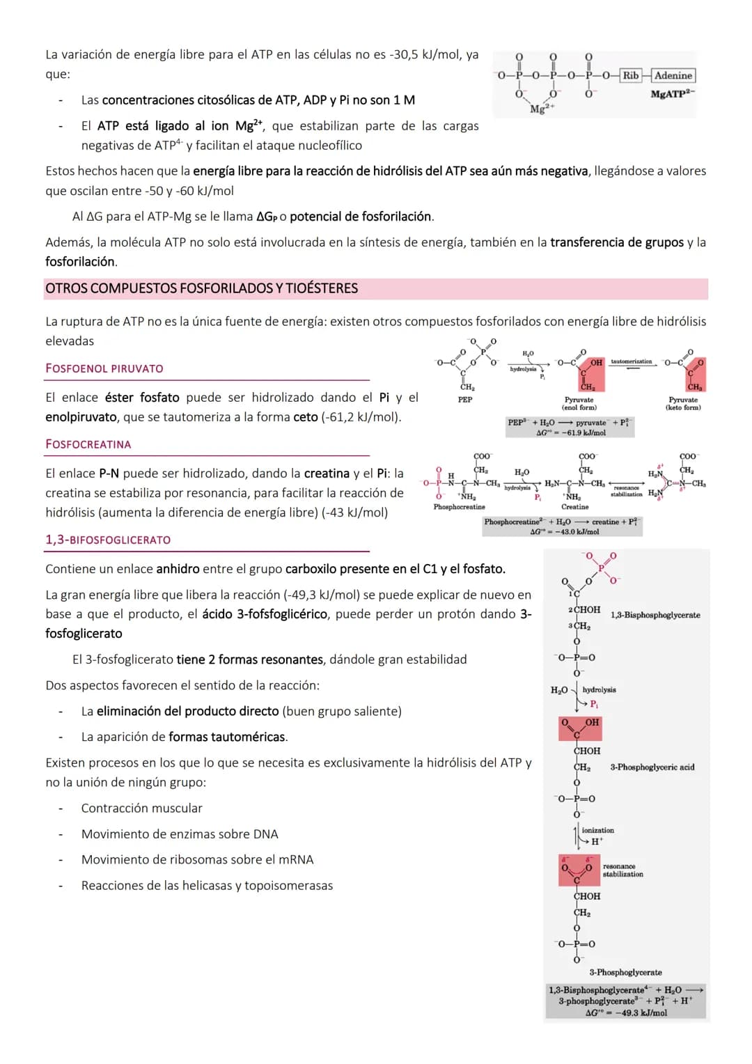 OBTENCIÓN Y CONSUMO DE ENERGÍA EN LOS SISTEMAS BIOLÓGICOS
Los organismos para llevar a cabo los procesos vitales necesitan energía que obtie