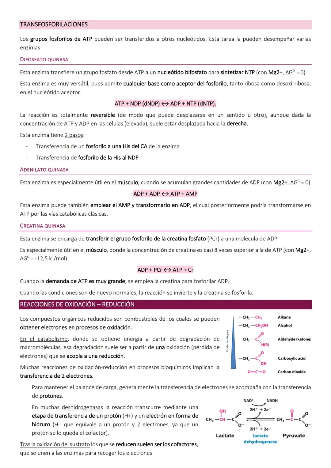 OBTENCIÓN Y CONSUMO DE ENERGÍA EN LOS SISTEMAS BIOLÓGICOS
Los organismos para llevar a cabo los procesos vitales necesitan energía que obtie