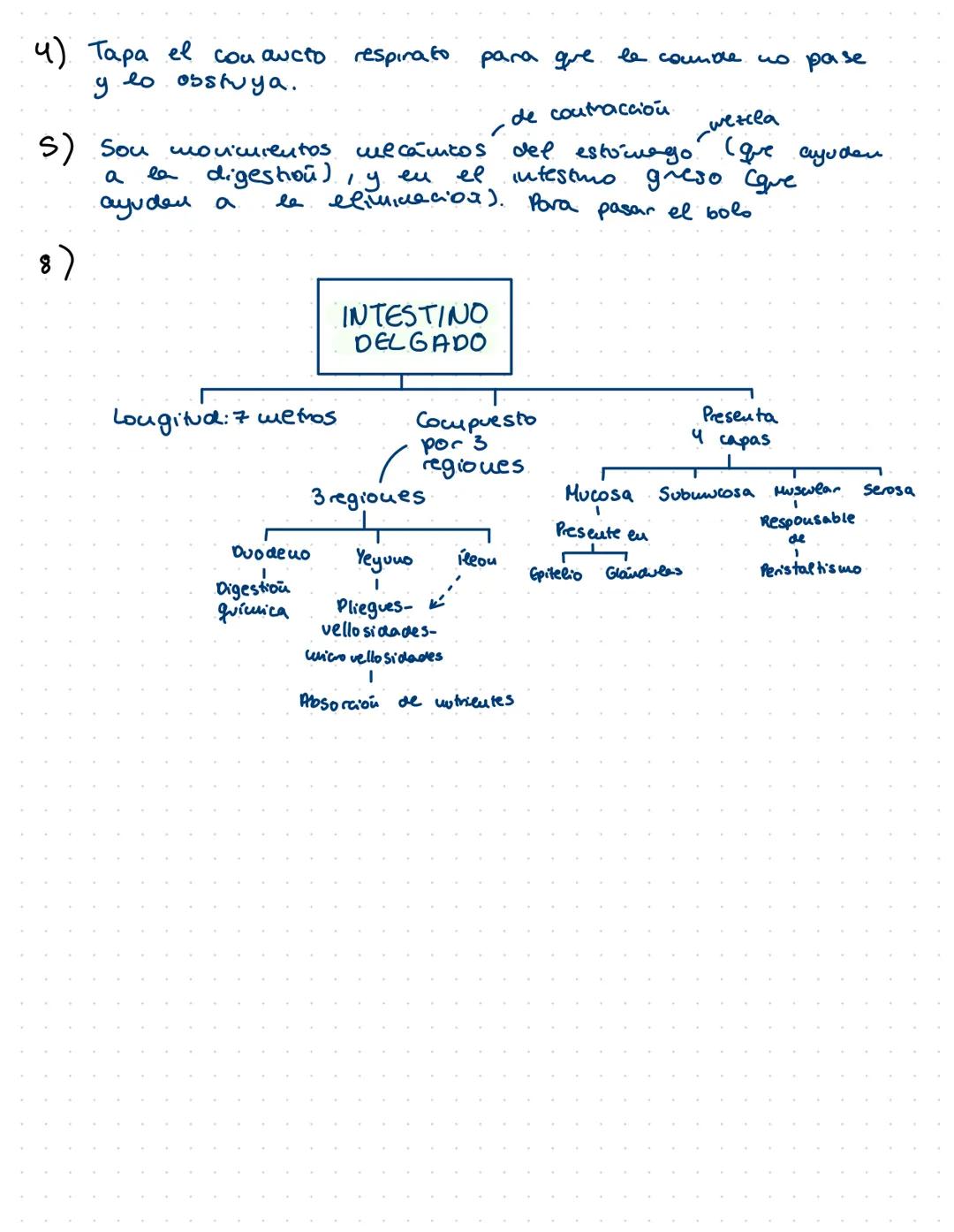 # ANATOMÍA

Tubercle
of Lower

Inf: V.
cava

Bristle passed through
right auriculo ventricular opening. Tema 2: El Aparato Digestivo

Funcio