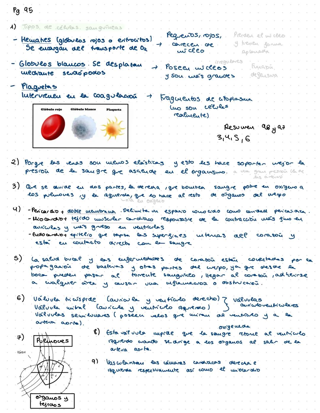 # ANATOMÍA

Tubercle
of Lower

Inf: V.
cava

Bristle passed through
right auriculo ventricular opening. Tema 2: El Aparato Digestivo

Funcio