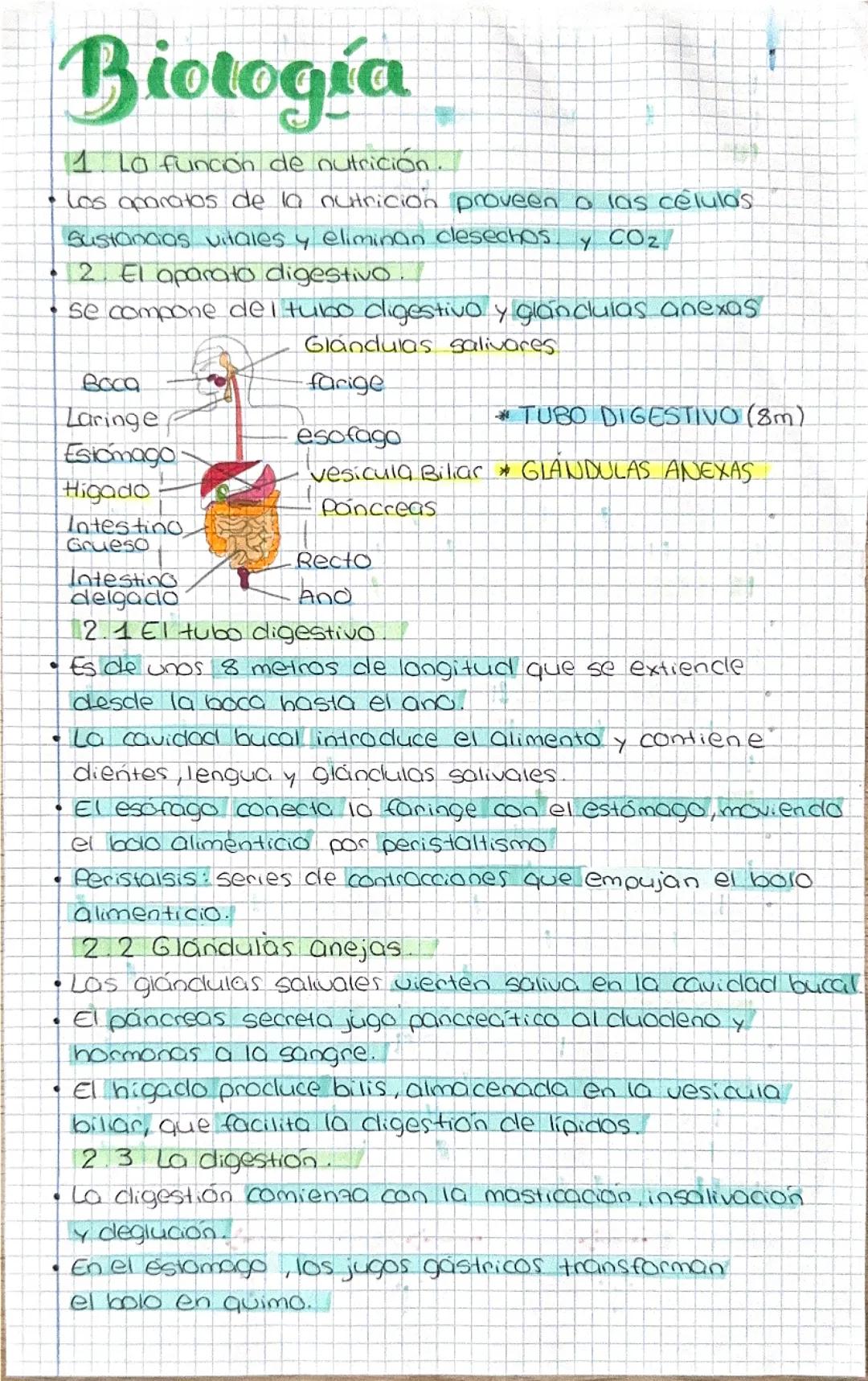 La Nutrición: Sistemas Digestivo y Respiratorio