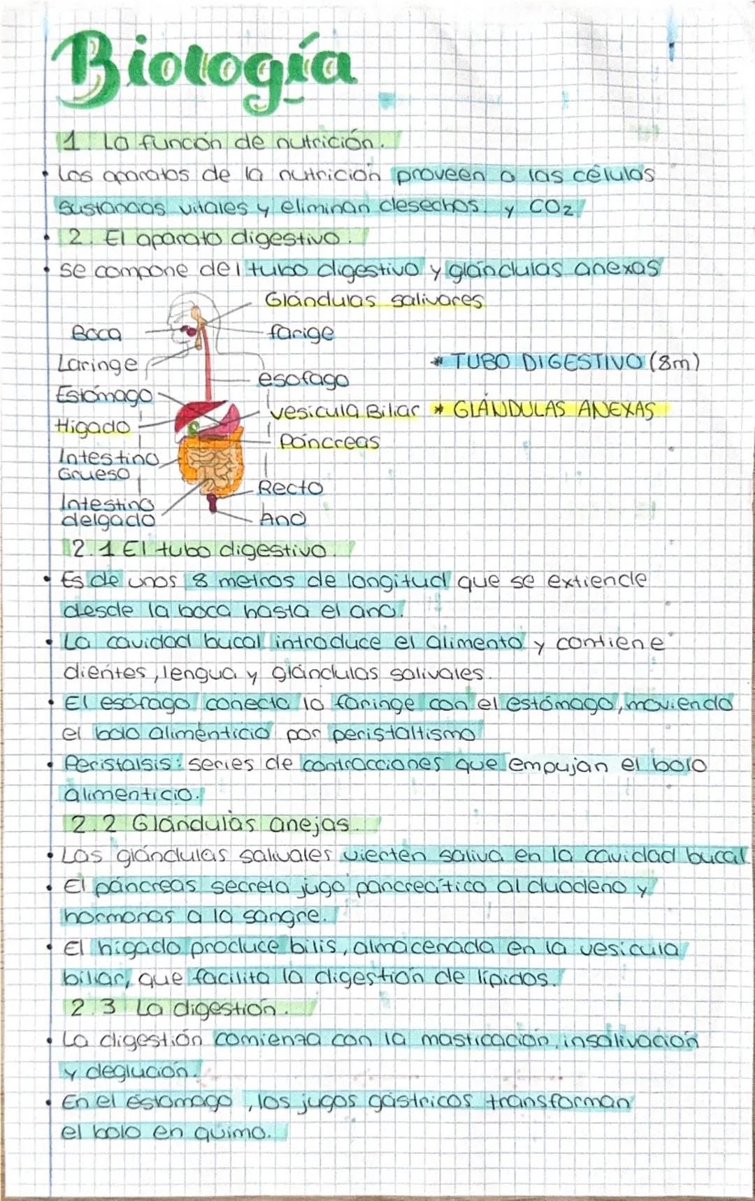 # Biología
1. La función de nutrición
• los aparatos de la nutrición proveen a las células
Sustancias vitales y eliminan desechos y CO2
• 2.