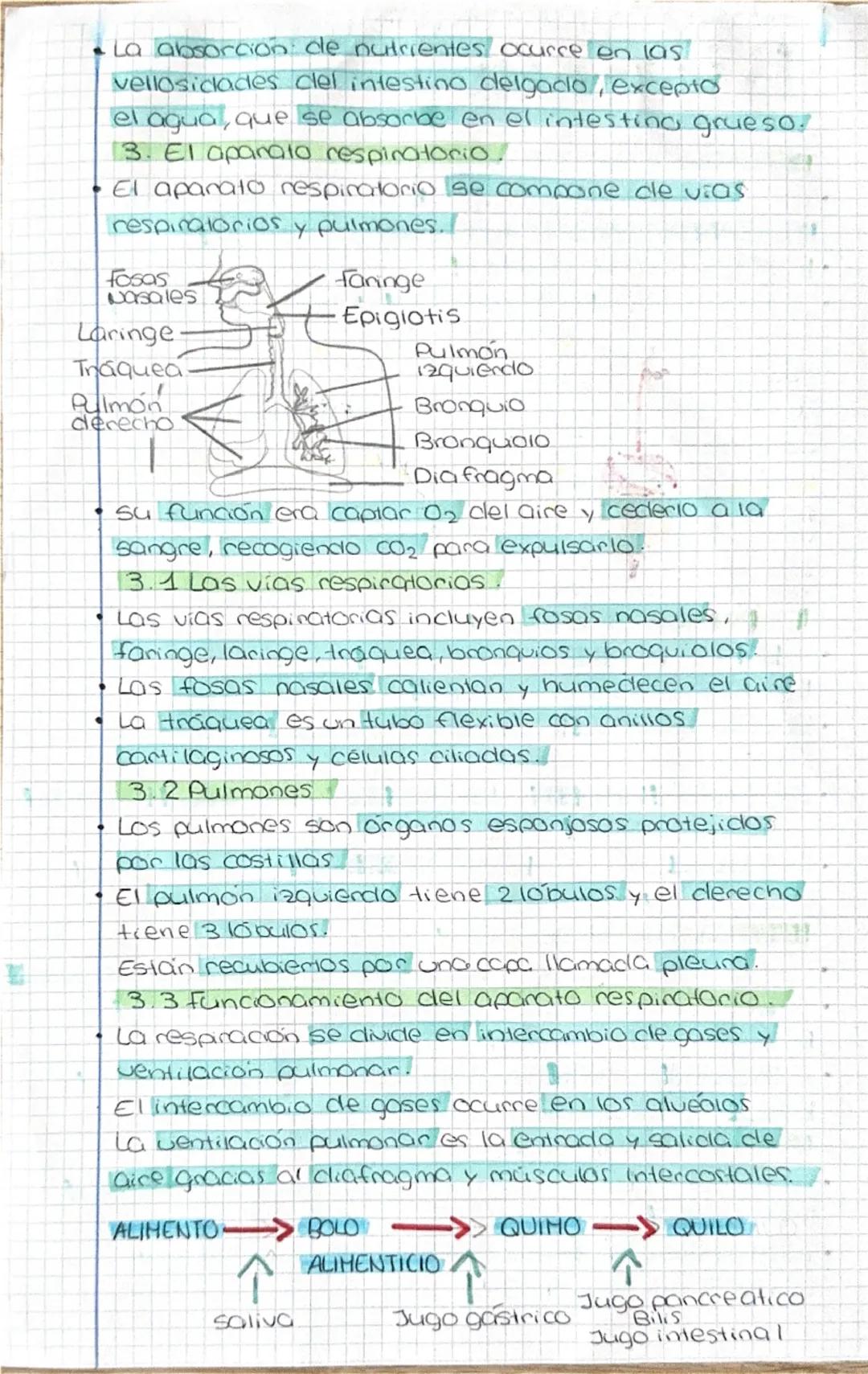 # Biología
1. La función de nutrición
• los aparatos de la nutrición proveen a las células
Sustancias vitales y eliminan desechos y CO2
• 2.