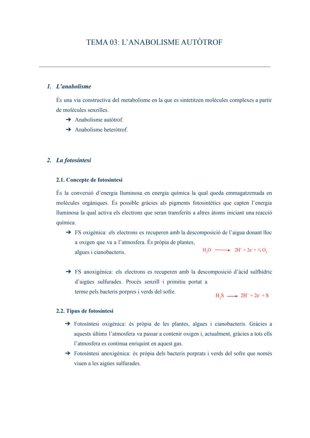 # TEMA 03: L'ANABOLISME AUTÒTROF

1. L'anabolisme

És una via constructiva del metabolisme en la que es sintetitzen molècules complexes a pa