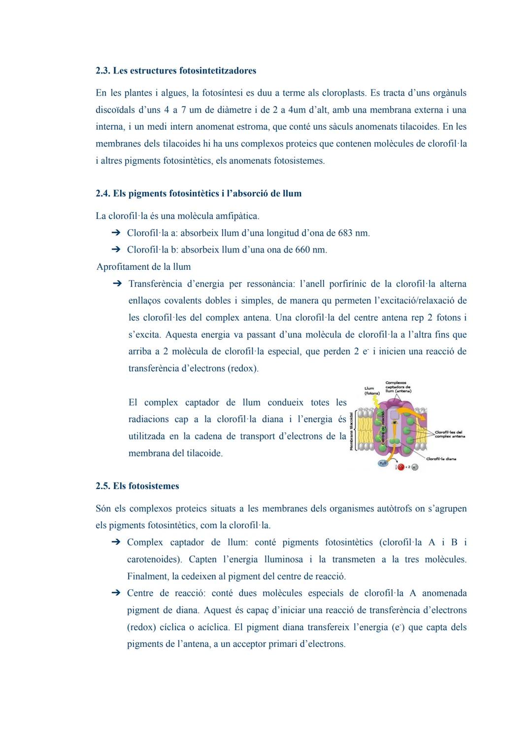 # TEMA 03: L'ANABOLISME AUTÒTROF

1. L'anabolisme

És una via constructiva del metabolisme en la que es sintetitzen molècules complexes a pa