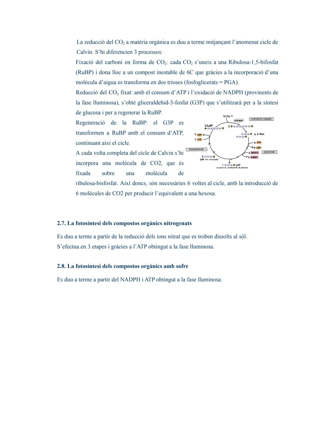 # TEMA 03: L'ANABOLISME AUTÒTROF

1. L'anabolisme

És una via constructiva del metabolisme en la que es sintetitzen molècules complexes a pa
