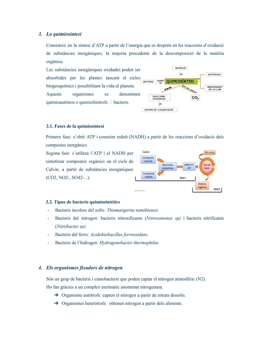 # TEMA 03: L'ANABOLISME AUTÒTROF

1. L'anabolisme

És una via constructiva del metabolisme en la que es sintetitzen molècules complexes a pa