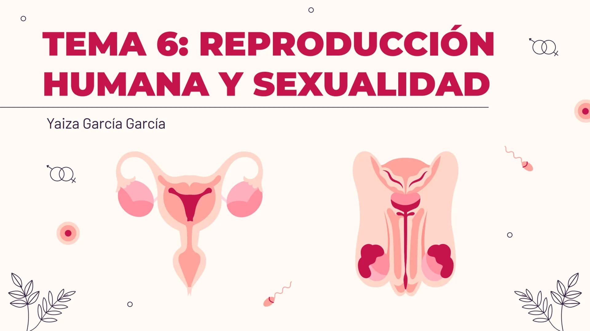 O
TEMA 6: REPRODUCCIÓN
HUMANA Y SEXUALIDAD
Yaiza García García
Xx
O
an
O
Q O
INDICE
O
1. APARATO REPRODUCTOR MASCULINO
- ESTRUCTURA
- PUBERT