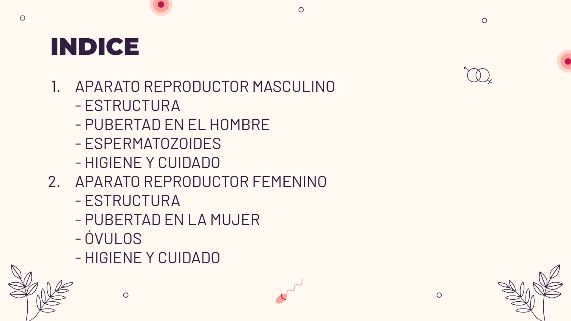 O
TEMA 6: REPRODUCCIÓN
HUMANA Y SEXUALIDAD
Yaiza García García
Xx
O
an
O
Q O
INDICE
O
1. APARATO REPRODUCTOR MASCULINO
- ESTRUCTURA
- PUBERT