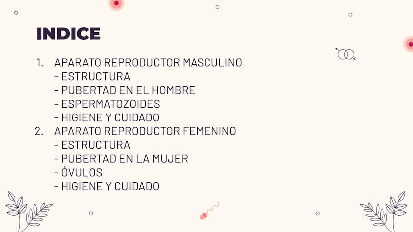 O
TEMA 6: REPRODUCCIÓN
HUMANA Y SEXUALIDAD
Yaiza García García
Xx
O
an
O
Q O
INDICE
O
1. APARATO REPRODUCTOR MASCULINO
- ESTRUCTURA
- PUBERT