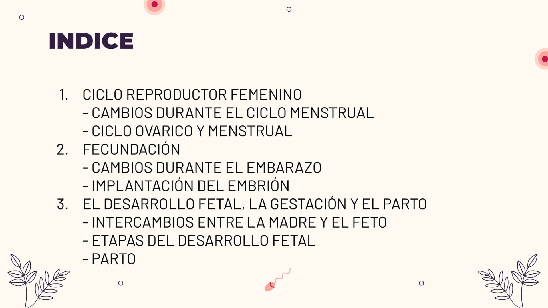 O
TEMA 6: REPRODUCCIÓN
HUMANA Y SEXUALIDAD
Yaiza García García
Xx
O
an
O
Q O
INDICE
O
1. APARATO REPRODUCTOR MASCULINO
- ESTRUCTURA
- PUBERT